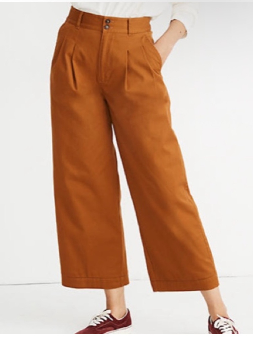 Madewell Wide Leg Pleated Brown High Waist Pant Size 2 Casual Breathable Neutral